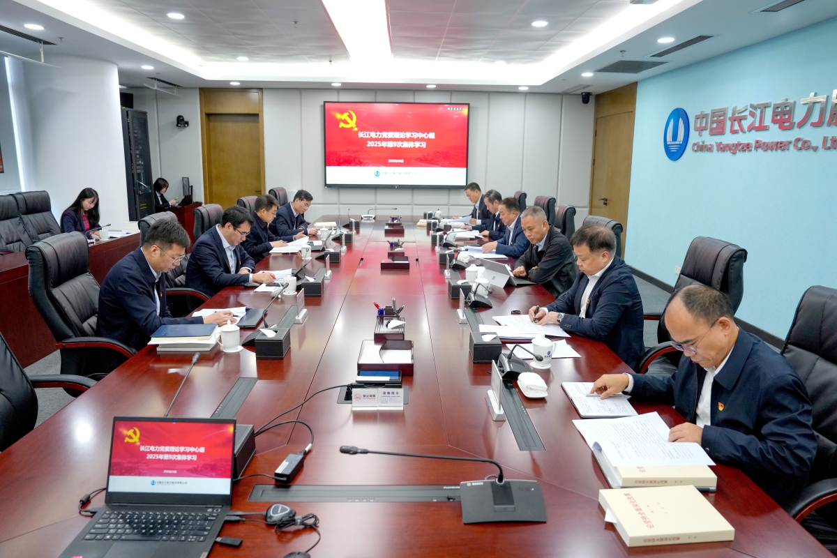 長江電力黨委理論學習中心組專題學習黨的二十屆四中全會精神